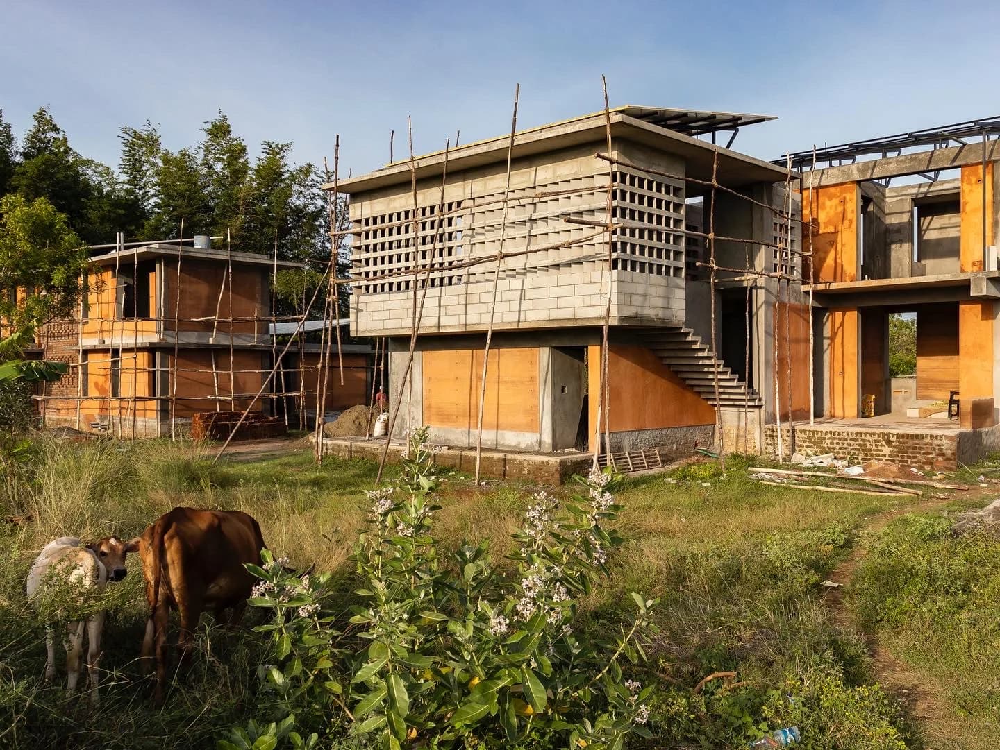 White Mongoose - AirBnB - Image 4