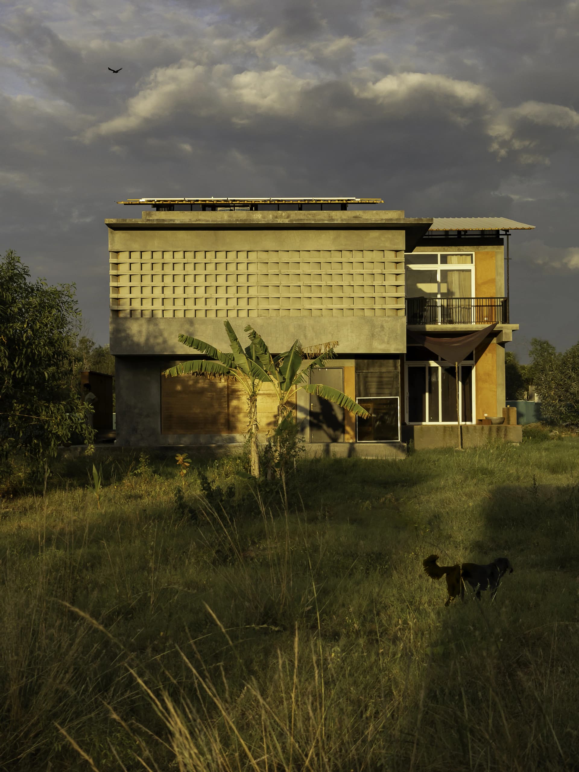 White Mongoose - AirBnB