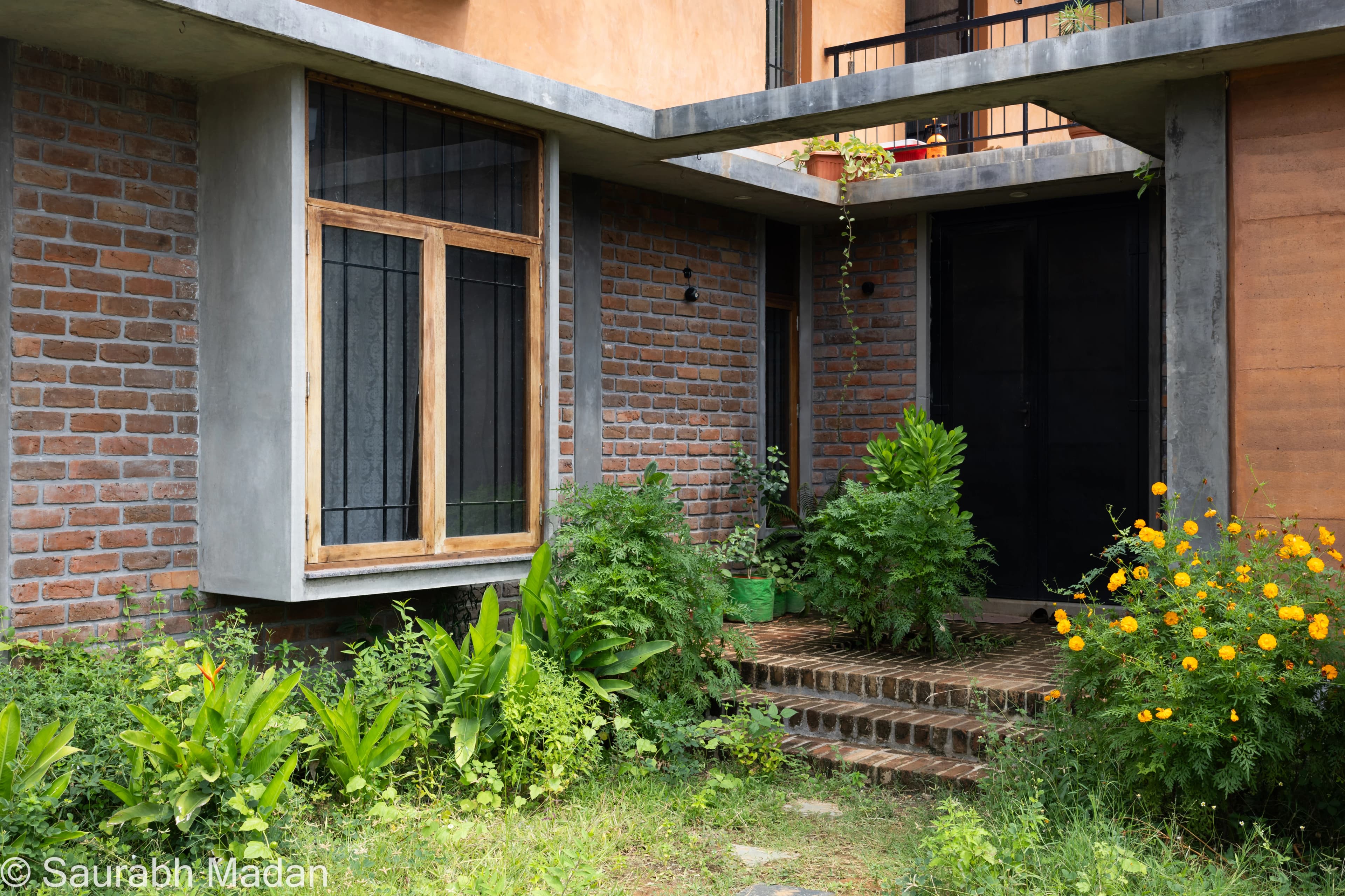 White Mongoose - Parents Residence - Image 12