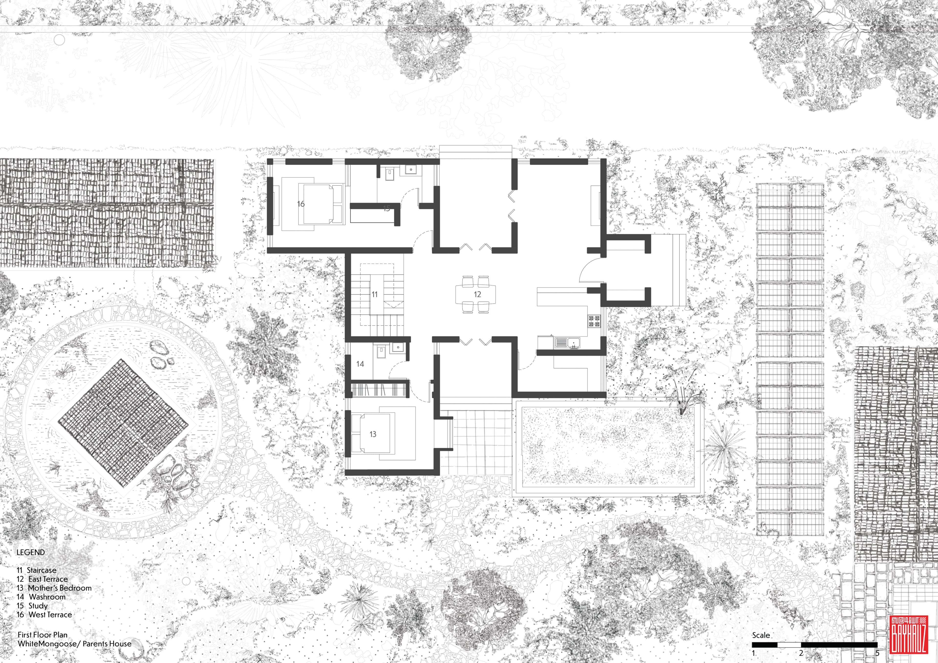 White Mongoose - Parents Residence - Image 15