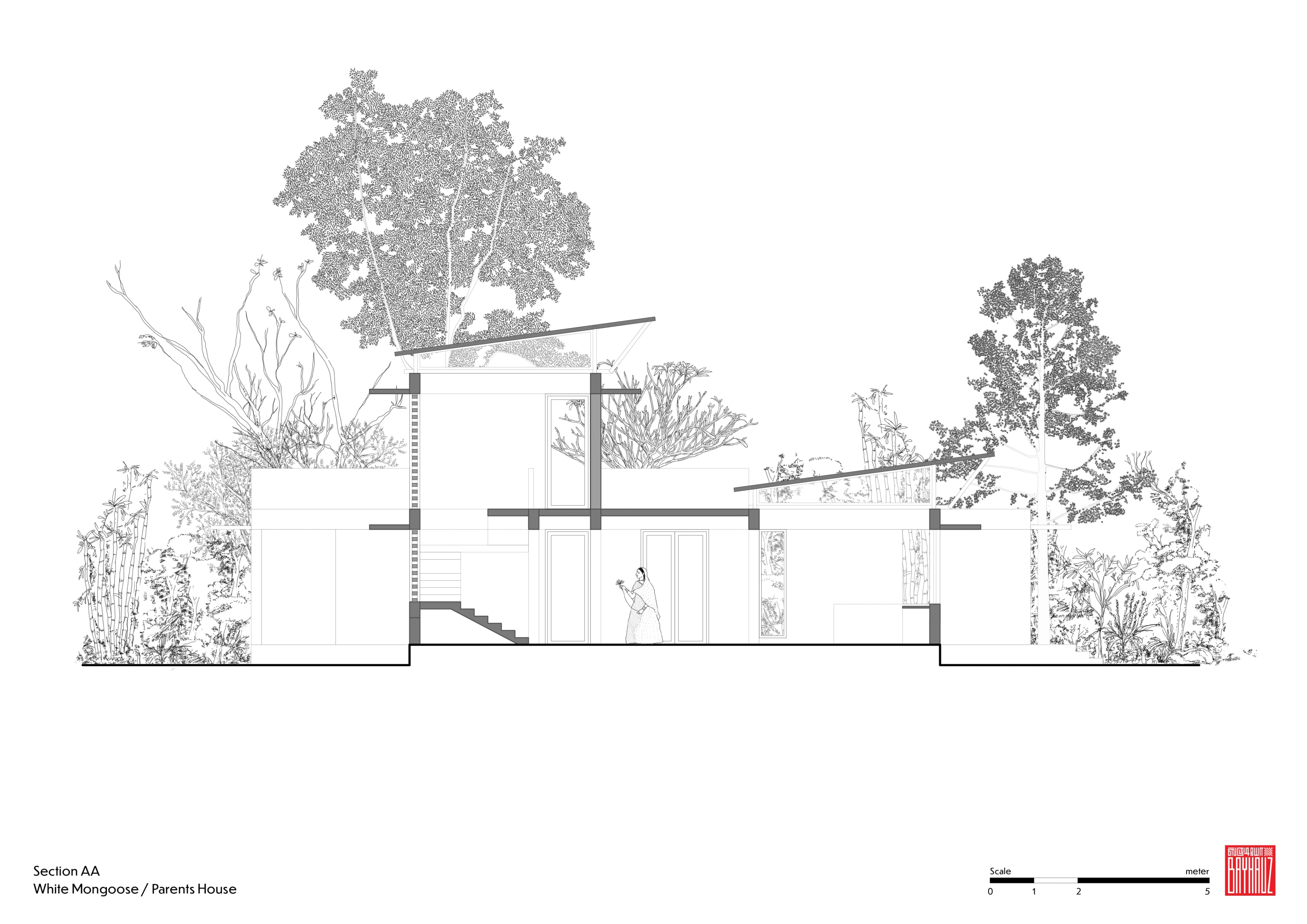 White Mongoose - Parents Residence - Image 17