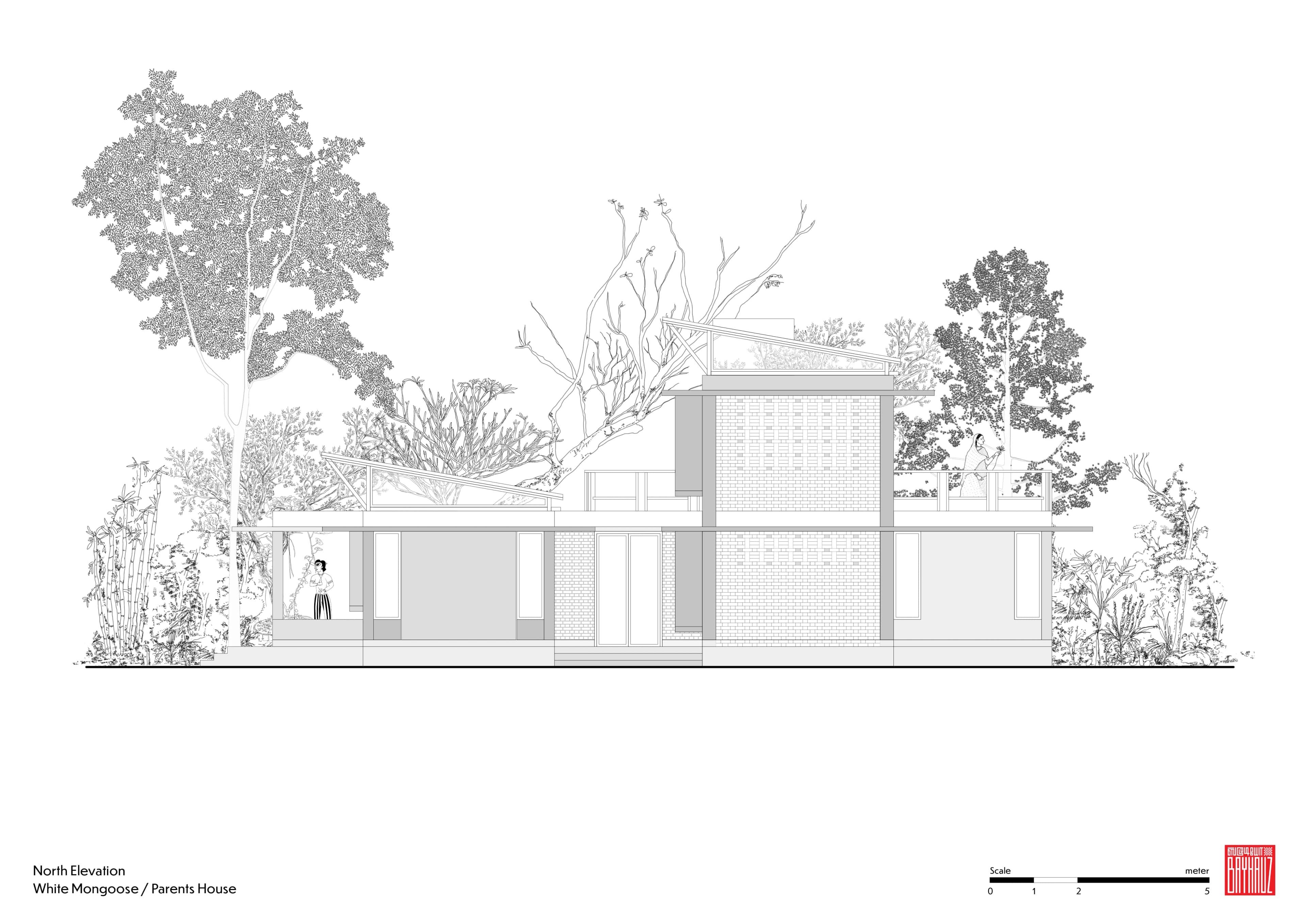 White Mongoose - Parents Residence - Image 18