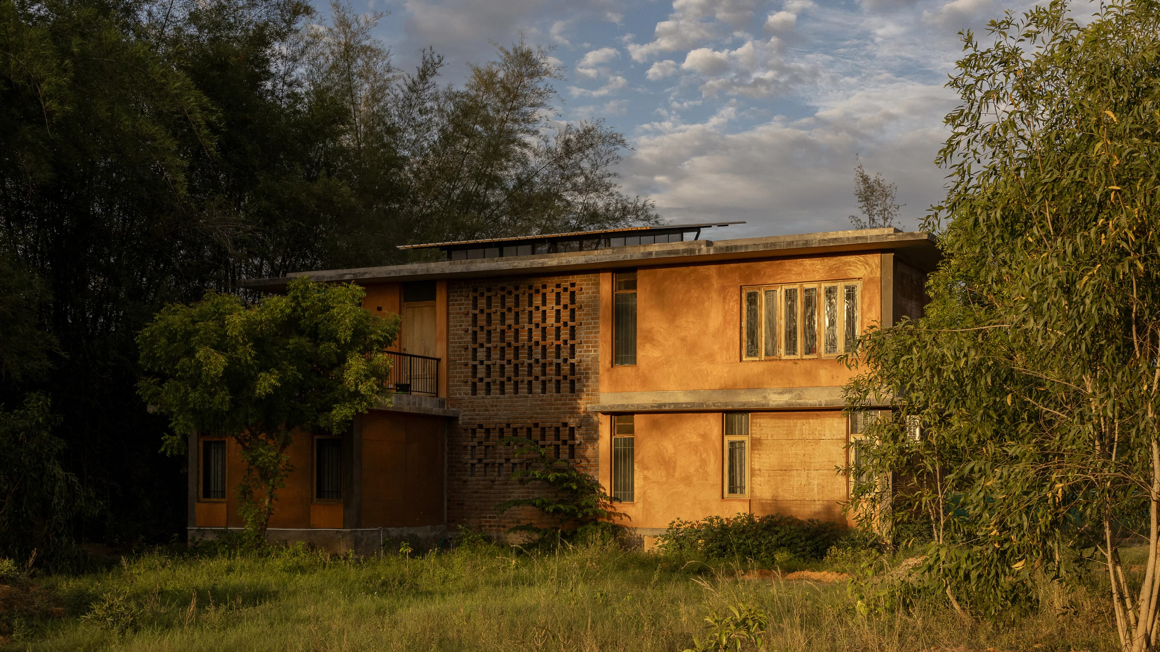 White Mongoose - Parents Residence - Image 3