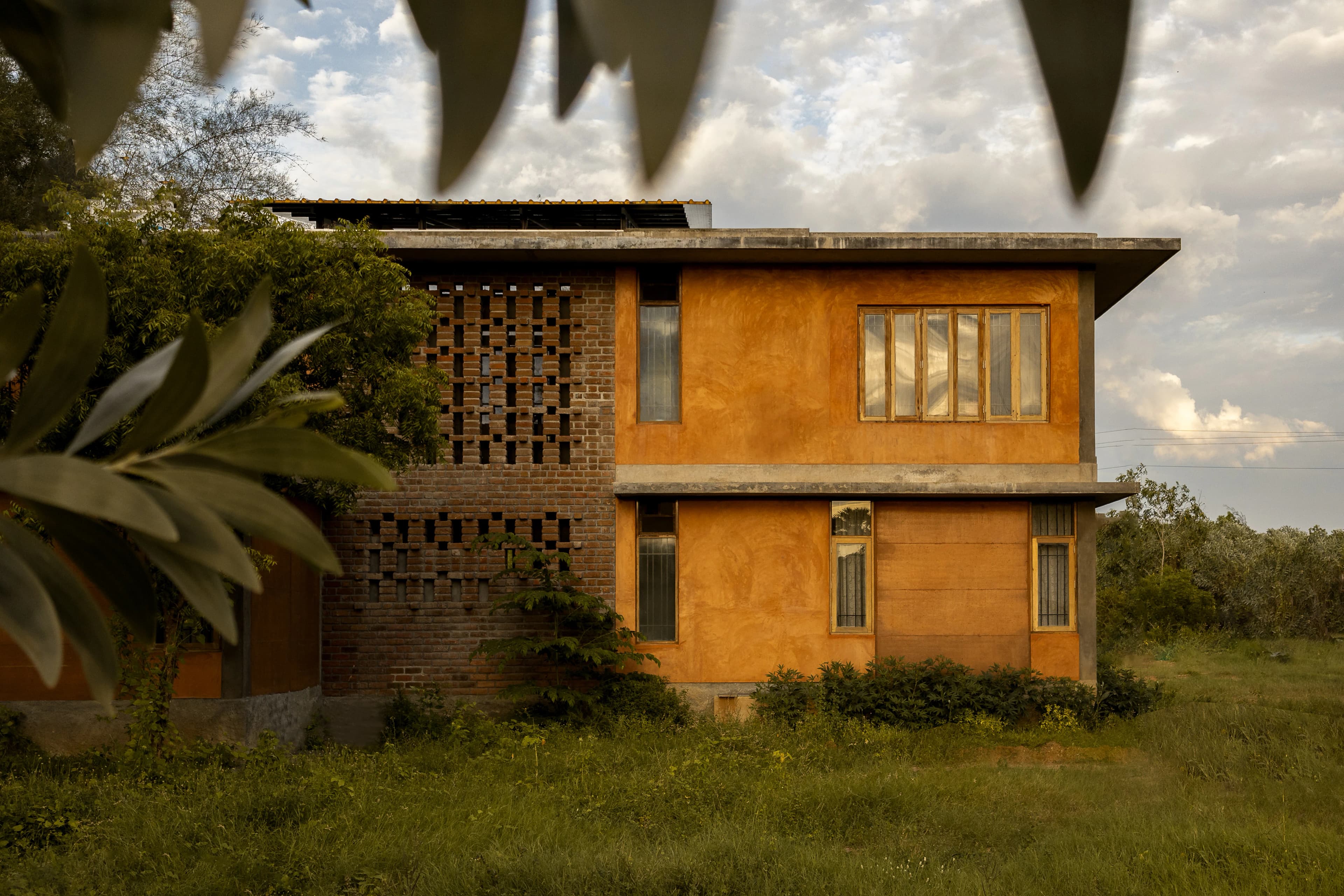 White Mongoose - Parents Residence - Image 4