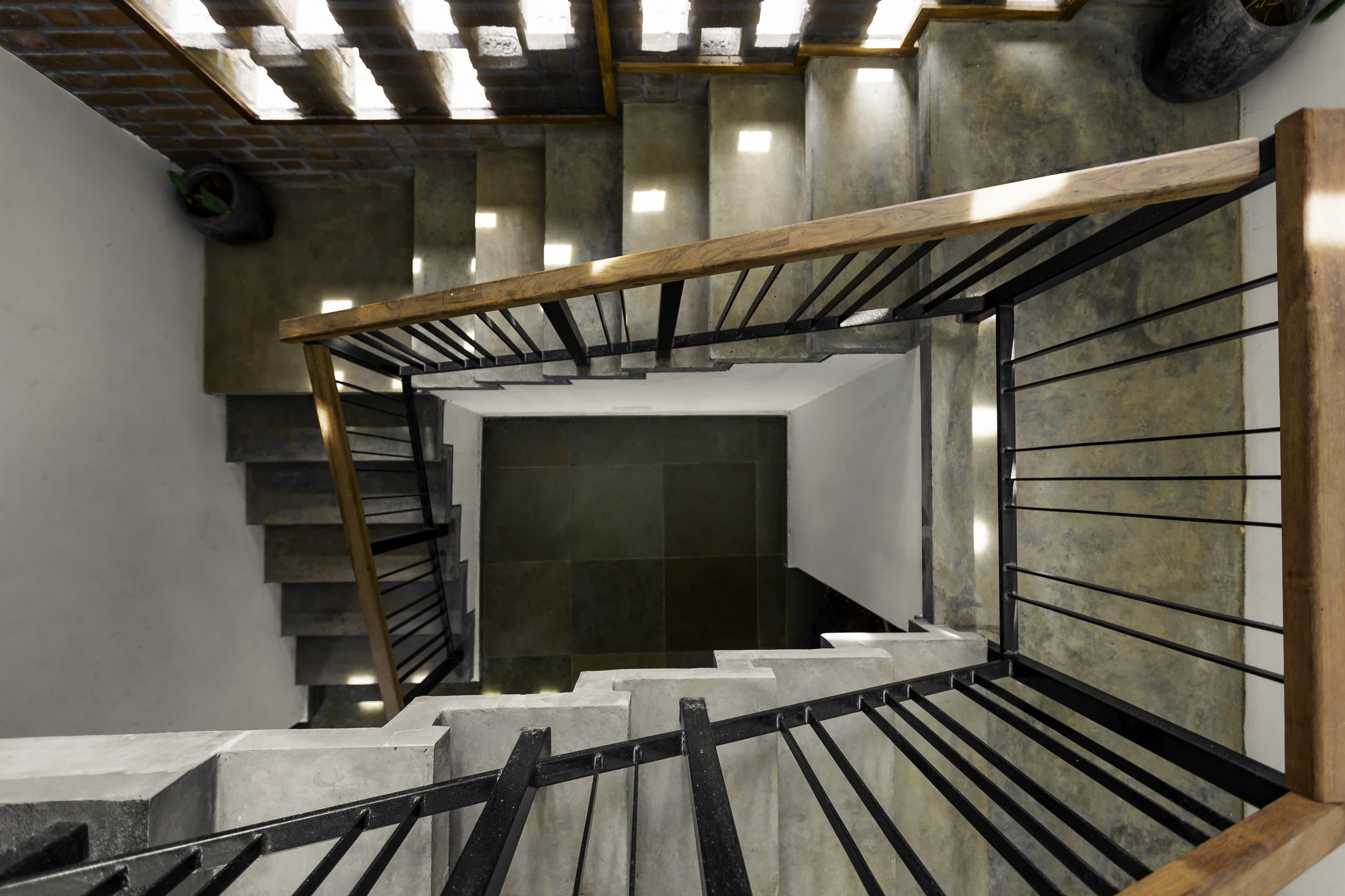 White Mongoose - Parents Residence - Image 7